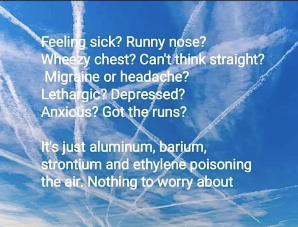 Fact Check Chemtrails Do NOT Contain Chemicals Known To Cause Human   Screenshot 2023 06 12 At 16.22.44 